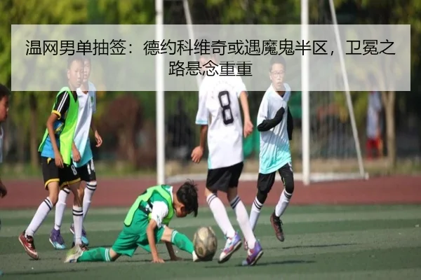 温网男单抽签：德约科维奇或遇魔鬼半区，卫冕之路悬念重重